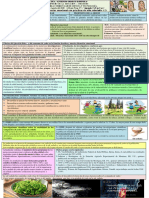 Ficha 4to Sem21 CyT PDF