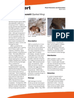 Drosophila Suzukii PDF