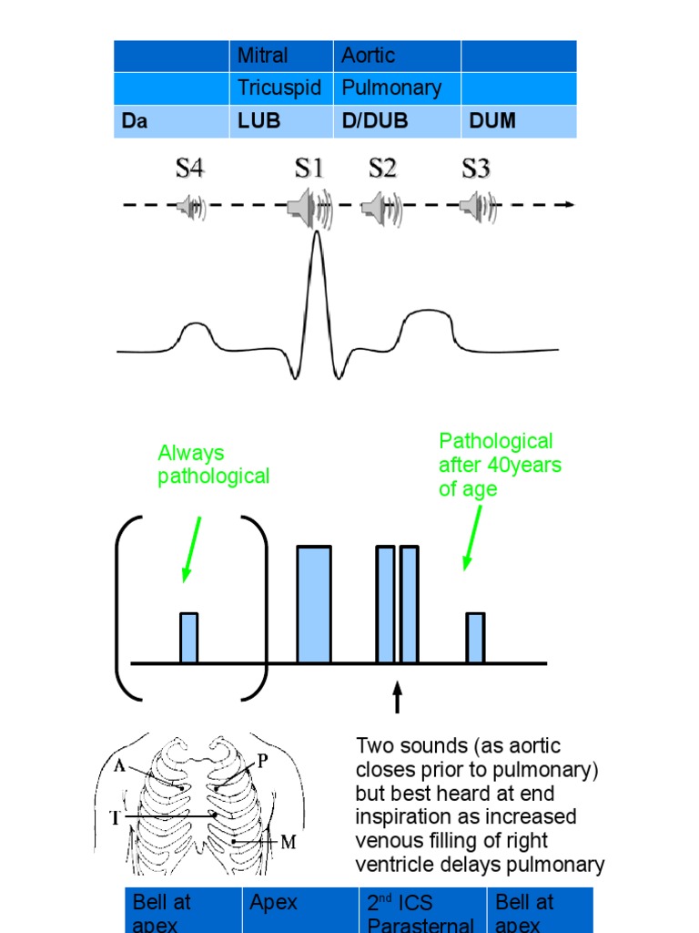Heart Sounds | PDF