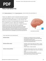 Neuroanatomia - cérebro - medula espinhal - sistema nervoso