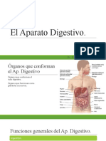 Fisiología del Ap. Digestivo