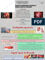 Analisis Fisiopatologico Iam y Ci Grupo 1