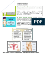 Ciencias Naturales Sistema Reproductor F y M I (1)