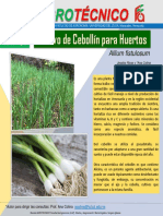 4.cultivo Del Cebollin para Huerto