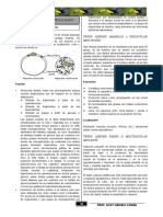 TEJIDO CONECTIVO Y DERIVADOS