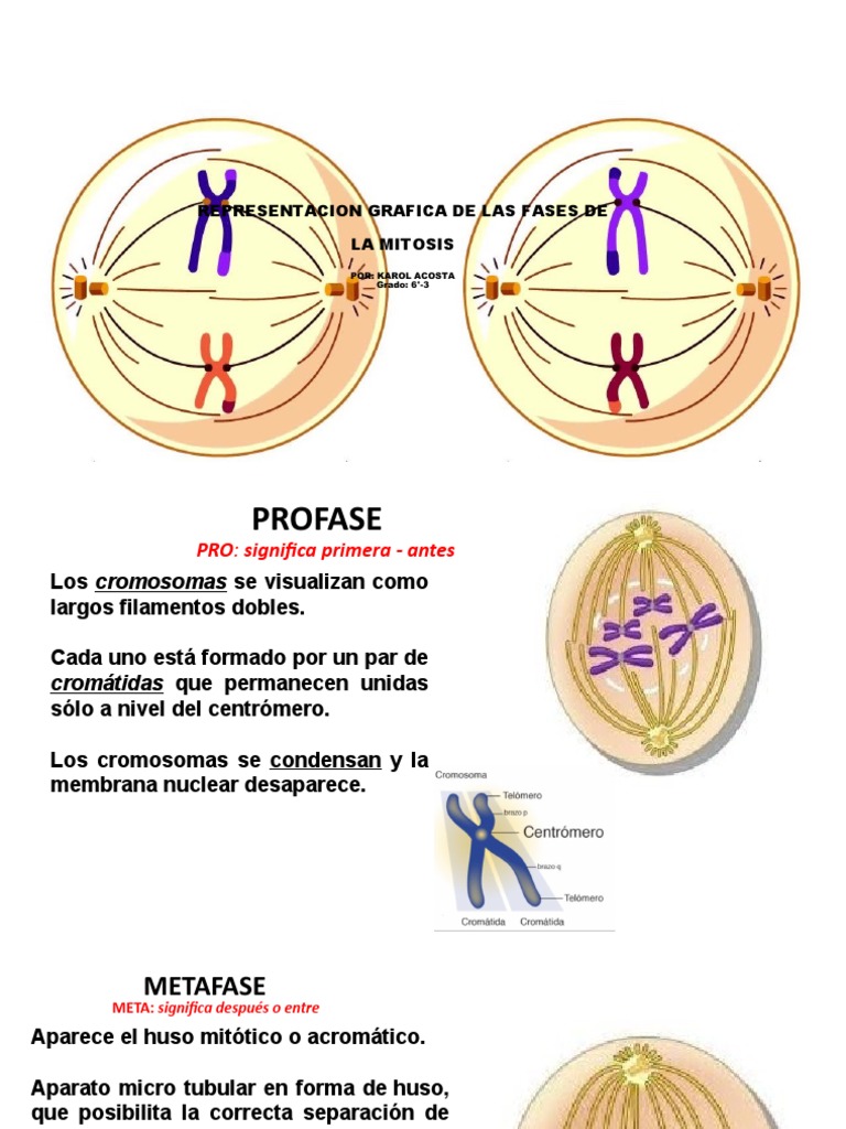 Installation & Delivery Area visual data 8