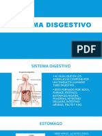 Sistema Disgestivo