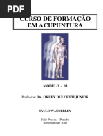 Apostila Do Curso de Acupuntura - 03
