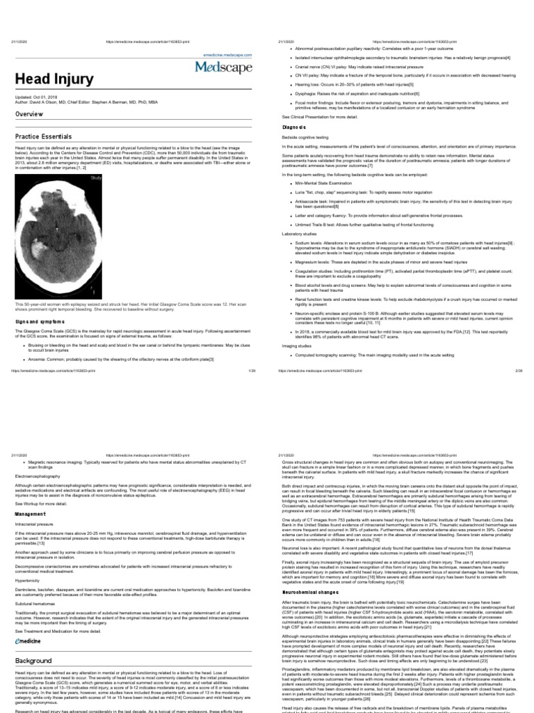 Understanding Head Injury and TBI | PDF | Traumatic Brain Injury ...
