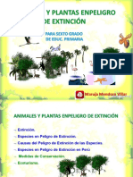 Animales y Plantas en Peligro