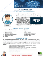 Actividad Nro. 08 Infografia Hipoxia e Hipoxemia