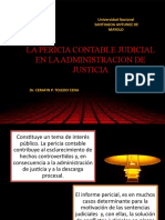 La Pericia Contable en La Administracion de Justicia