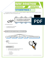 Elementos-que-Intervienen-en-la-Fotosíntesis-para-Cuarto-de-Secundaria.doc