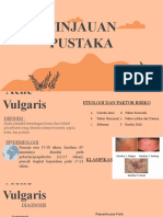 Tinjauan Pustaka Acne