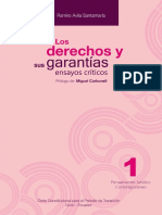 Ávila Santamaría R. - Derechos y Garantías.pdf