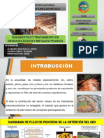 Diagnostico y Tratamiento de Drenajes Ácidos y Metales Pesados PDF