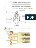 Guía Huesos y Articulaciones PDF