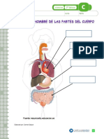 partes del cuerpo.pdf