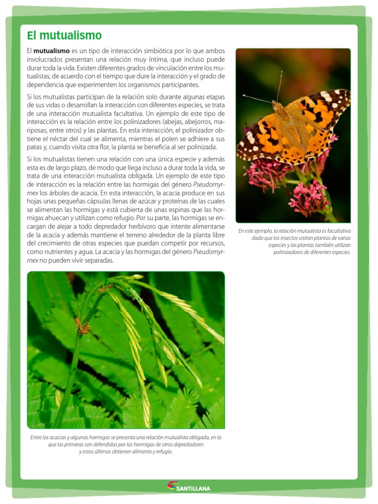 7 E El Mutualismo | PDF | Simbiosis | Ecología