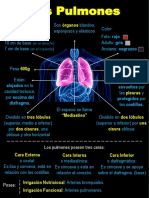 Fisiología pulmonar