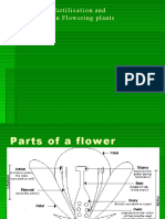 Seed Formation and Dispersal Methods | PDF | Fertilisation | Flowers
