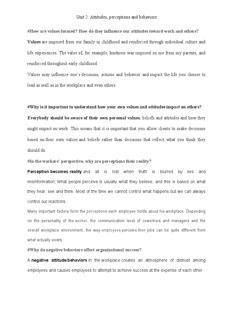 Understanding Values and Workplace Attitudes | PDF | Attitude ...