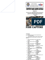 Module For Fish Capture Grade 8