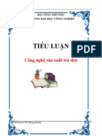 tieuluan2_5179.pdf