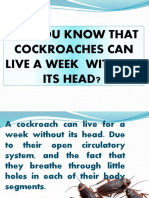 Did You Know That Cockroaches Can Live A Week Without Its Head?