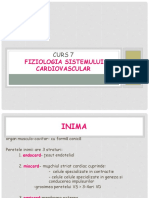 curs-7.pdf