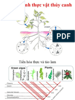 ch3-Dac tinh & cấu truc thuc vat TC.ppt