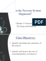How Is The Nervous System Organized?: Chapter 3-Neuroscience: The Brain and Behavior