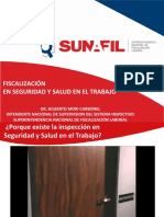 Proceso_fiscalizacion.pdf