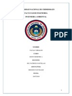 Hidalgo Nataly- Plan de Contingencia.pdf