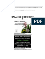 Calameo Document: Download As PDF (Print - Php?Documentid 945F4B8D79Bb&Count 0)