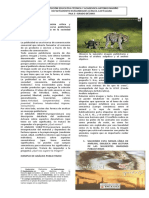 publicidad grado 9.pdf