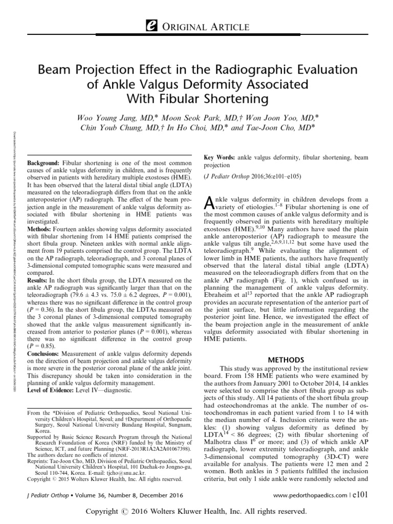 Beam Projection Effect in The Radiographic.20 PDF | PDF | Ankle ...