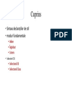 Cuprins CSS.pdf