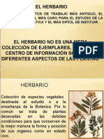Clase Herbarios Historicos.1era CLASE - OK