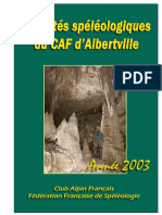 Activites CAF 2003.pdf