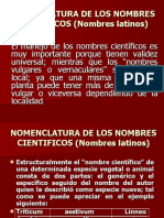 manejo pastos nombres cientifico.ppt