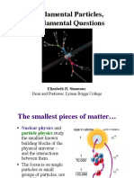 Fundamental Particles, Fundamental Questions: Dean and Professor, Lyman Briggs College