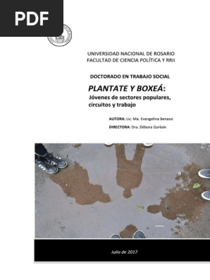 TesisBenassi PDF | PDF | Special Effects | Entertainment Companies