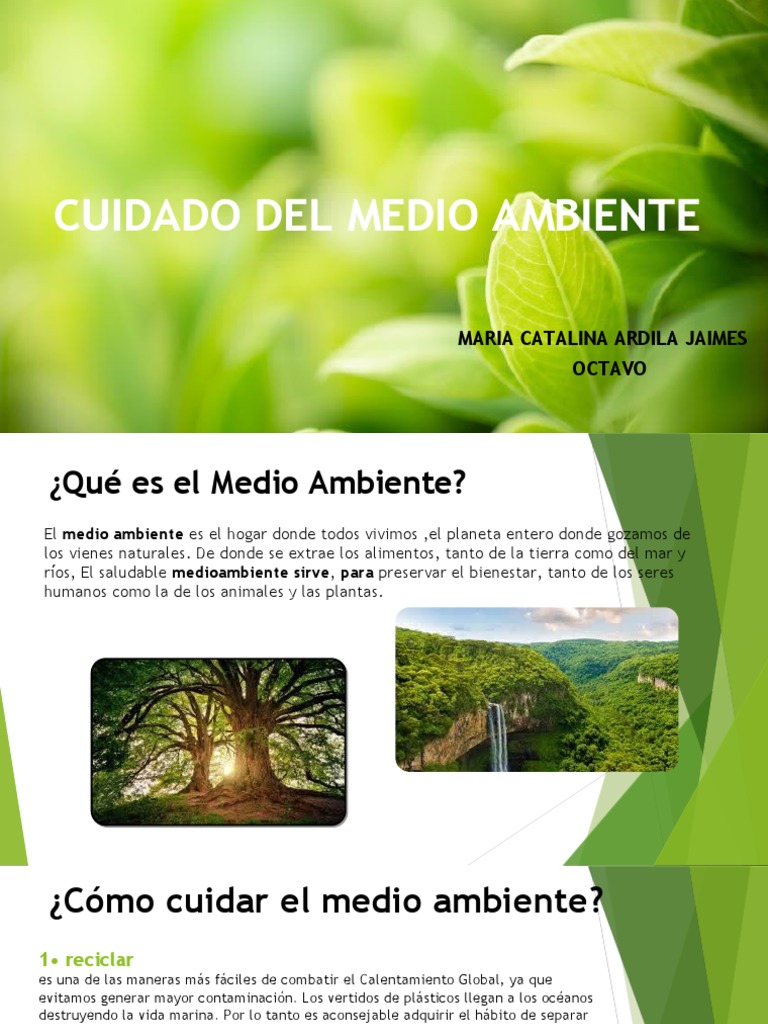 Acciones para Cuidar el Medio Ambiente | PDF | Entorno natural ...