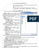 Tema_Formatarea in Excel.doc