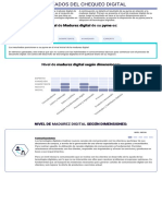 El Nivel: Nivel de Madurez Digital Madurez Digital de Su Pyme Pyme Es