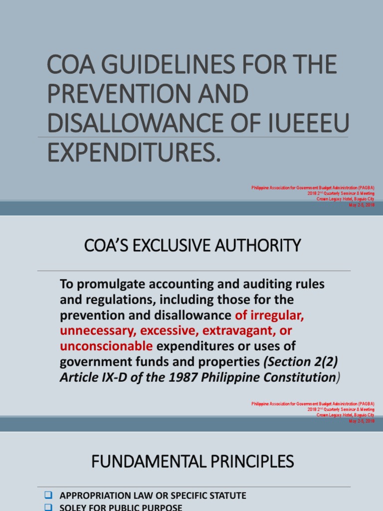 Coa Guidelines For The Prevention and Disallowance of Iueeu PDF | PDF ...