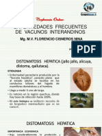 Sanidad Animal. (Enfermedades Frecuentes en Vacunos PDF