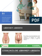 Abdomen Abierto