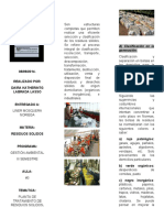 folleto Daiiriitappp IMPRIR.docx